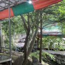 논배동산