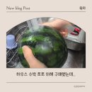 검단 척척밥상에서 로컬푸드 쇼핑, 수박과 산딸기 후기