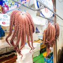 오대양축산 이미지