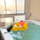 라온피네 | 18개월 아기랑 1박2일 전남 여수 여행 : 스테이 라온피네 펜션 내돈내산 찐 후기