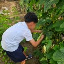 참존농장 이미지