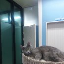 태화동물병원 이미지