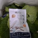 3형제농장 이미지