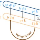 Jacob Grimm's law- historical linguistics 이미지