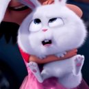 스노우볼 이미지