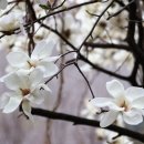 우산각 이미지