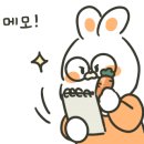 아티자나 이미지