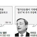 &#39;마이너스 금리&#39; 역풍 두개로 나뉜 지구촌 이미지