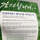 메디프랜 | 천연 미백 치약 찾으세요? 메디프랜 메디화이트 미백치약 #후기