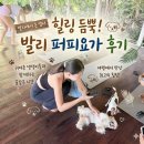 퍼피's 데이 | 발리 짱구 퍼피요가 내돈내산 솔직 후기 🐶