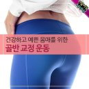 건강하고 예쁜 몸매를 위한 골반 교정 운동 이미지