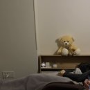 (주)하니메이트 | 강남 최면상담 소울메이트 최면센터 지디 팬미팅 전생 체험