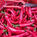 공단이용소 이미지