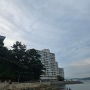 금호수산 | 통영 금호통영마리나리조트 오션뷰 가성비 숙소 스위트디럭스 객실 내돈내산 후기
