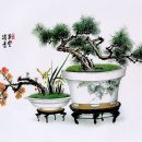 주식회사 안성토목개발 | 평택지원 경매2계 2024 타경 43493 [임야]