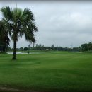 파인골프클럽 이미지