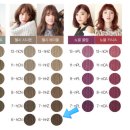 헤이즐톤 이미지