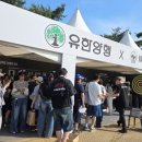 유한양행 이미지