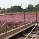 바람새마을 이미지