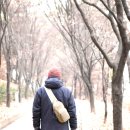 이인현선생묘 | 안산 노적봉