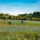 태인목장 이미지