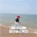 도남주차장 공중화장실 | 왕산해수욕장 을왕리대신 다녀온 후기 주차 맛집정보 해수욕장개장일