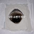 신흥동010 | (인천 화장실 방수) 타일 깨지 않고 비파괴로 공중 화장실 소변기 방수