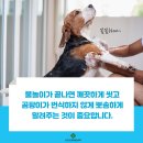 곤지암 동물병원 이미지