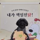 하울팟 위례점 이미지