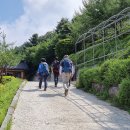 치악산둘레길 1코스 꽃밭머리길 이미지