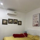 드림랜드(아) 이미지