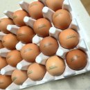 행복한닭농장 이미지