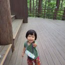 아이들세상유치원 이미지