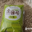 섬진강누룩꽃