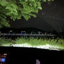 로그인편의점 안성고삼점 | 🌱첫차박_안성 고삼 저수지