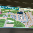 포항서숲오토캠핑장