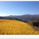 서화어린이집 이미지