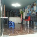 프로카 정비 이미지