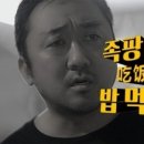 족팡매야 이미지