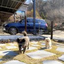 숲속의하루2민박 이미지