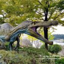 코로나19 극복을 위한 군민위안행사 | 경남 고성 공룡박물관 아이들과 가볼만한 곳