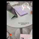 해맑은2농장 | 솔숲 끝에 해맑은 햇살이 찾아오고