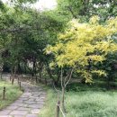 내수전통시장 이미지