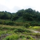 관덕천 Daum카페