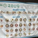 국수나무안동옥동점