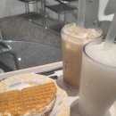 푸파501 이미지