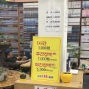 수원 24시 만화방 추억 가득한 까치만화방 후기