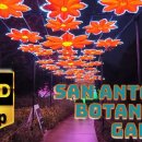 San Antonio Botanical Garden 에서 라이트쇼 ILLUMINATE 디스플레이합니다 이미지