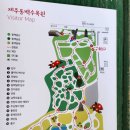 수목원 | 제주 동백 명소 | 2월 끝물에도 예뻤던 '동백수목원' 후기