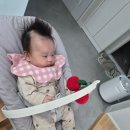 체리 | 유모차에 걸기 좋은 콩제슬래드 st 저렴이 체리 모빌 내돈내산 후기